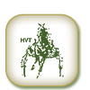 HVT Logo Klein